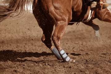 Action photography of a horse sliding in the dirt.  Horse barrel racing in an arena.