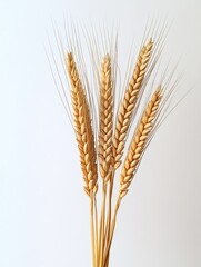 Fototapeta premium Brown Wheat Grains