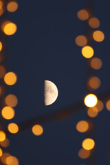 moon in the night