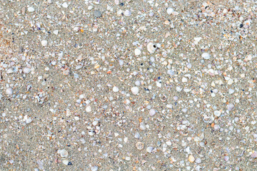 Sand and shell Background for design