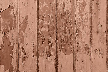 Closeup of distressed wooden wall with peeling paint in a monochromatic mocha mousse tone, showcasing rustic textures and aged charm