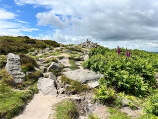 View up the slope towards the top of the hill with a rocky path and flowers
