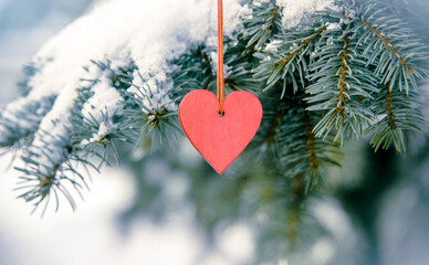 Symbol of love hangs on snow-covered spruce
