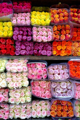 Stacks of neatly packed multicolored roses in plastic containers at a wholesale flower market, displaying vibrant shades of pink, red, yellow, and white