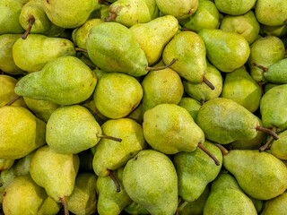Williams pears seen from above in full frame. Background of pears