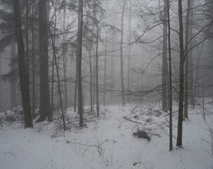 Mountain landscape at Vauffelin in winter, in the Jura bernois administrative district in the canton of Bern in Switzerland.