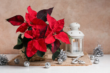 Christmas plant poinsettia with decorations and burning candle on white table
