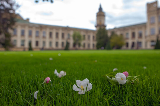 Scenic view of  Historical building of the Kiev Polytechnic University Igor Sikorsky. Park in front of the main building of KPI