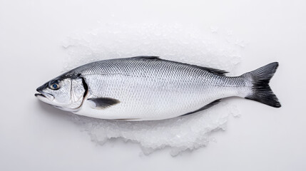 Obraz premium Whole barramundi fish displayed on ice at seafood market showcasing freshness and quality in soft diffused light