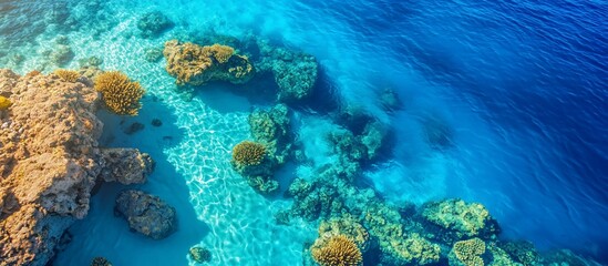 Obraz premium Aerial view of vibrant coral reefs and clear turquoise waters, showcasing marine life and rocky formations