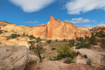 Fototapeta premium Color stock image of Capitol Reef National Park
