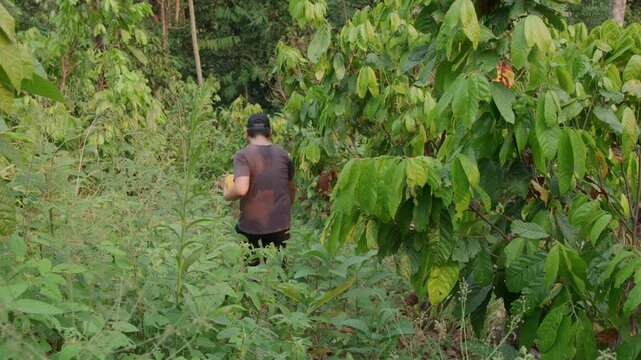 Personne descendant une pente dans la jungle
