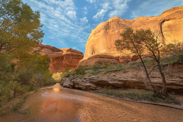 Steam flowing through canyon of Coyote Gulch, Glen Canyon National Recreation Area, Utah.