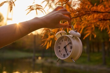 Holding a white alarm clock against a backdrop of orange autumn leaves during sunset