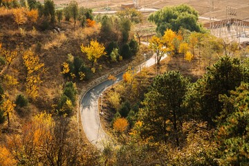 Curved road through autumn foliage in tranquil rural landscape