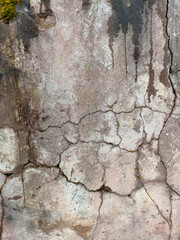 Old wet light gray wall with cracks from wear and tear, earthquake, requiring repair. Grunge texture of concrete surface