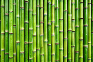 Lush green bamboo stalks, closely arranged, forming a wall, outdoors, nature background, for texture