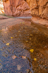 USA, Utah, Glen Canyon National Recreation Area. Rocky cliff and pool.