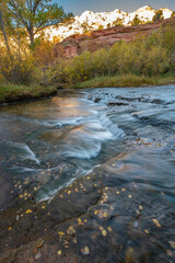 USA, Utah, Grand Staircase Escalante National Monument. Autumn leaves in Calf Creek waterfalls.