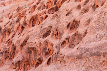 USA, Utah, Grand Staircase Escalante National Monument. Pockets of erosion in sandstone wall.
