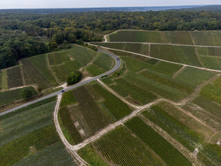 Aerial view on green grand cru vineyards near Oger and Mesnil-sur-Oger, region Champagne, France. Cultivation of white chardonnay wine grape on chalky soils of Cote des Blancs