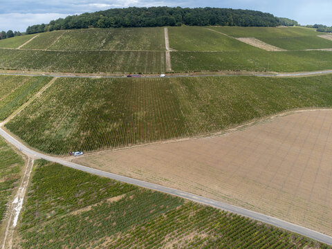 Aerial view on green grand cru vineyards near Cramant and Avize, region Champagne, France. Cultivation of white chardonnay wine grape on chalky soil of Cote des Blancs
