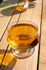 Tasting of french apple cider brut in glass made from new harvest apples outdoor in sunny orchard