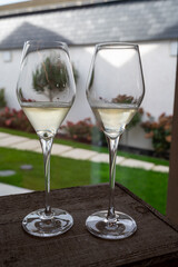Tasting sparkling white wine, traditional champagne method making of cremant in caves on Moselle river valley in Luxembourg, glass of wine