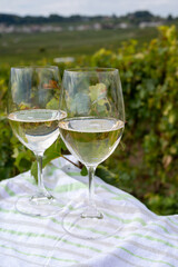 Tasting of grand cru sparkling brut white wine champagne on sunny vineyards of Cote des Blancs near village Cramant and Avize, Champagne, France