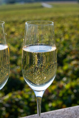 Tasting of Champagne sparkling wine with little bubbles on green vineyards near Ludes, Louvois, Val de Livre, Champagne, France