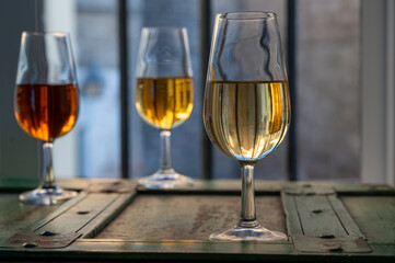 Sherry wine tasting, fino, olorosso, amontillado, cream jerez sherry fortified wine made from palomino white grape in bogedas in Jerez de la Frontera, Cadiz, Andalusia, Spain