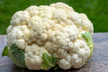 Healthy vegetarian food concept, raw cauliflower white cabbage ready for cooking