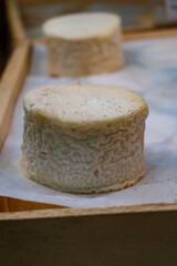 French goat cheeses fresh and crottin chavignol, made from unpasteurised goat milt, different taste on farmers market in Biarritz, France