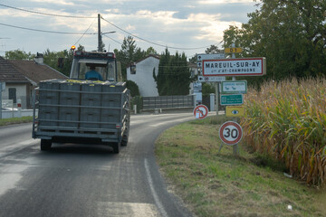 Grape harvesting work, delivery of full boxes of grapes for pressing and juice extraction, Gran Cru villages. Autumn in Champagne wine making industry region, France.