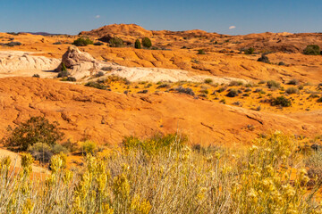 Obraz premium USA, Utah, Grand Staircase Escalante National Monument. Rocky landscape with eroded formations.