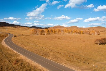 Scenic autumn landscape with winding road and vibrant trees under a clear blue sky