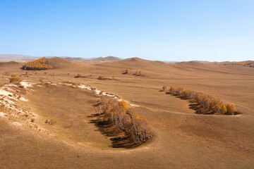 Scenic autumn landscape showing rolling hills and clusters of trees under a clear blue sky