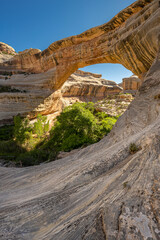 USA, Utah. Sipapu Bridge at Natural Bridges National Monument