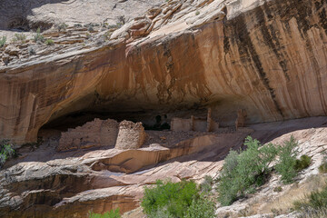 USA, Utah. Monarch Cave, an Anasazi Ruin, Comb Ridge, Bears Ears National Monument