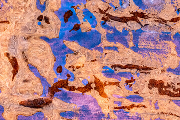 USA, Utah. Ice formations Arches National Park.