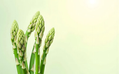 Fresh asparagus spears against a light green background