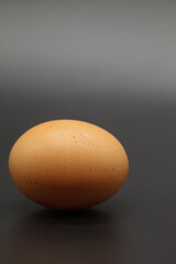 A single large brown egg isolated on a dark background