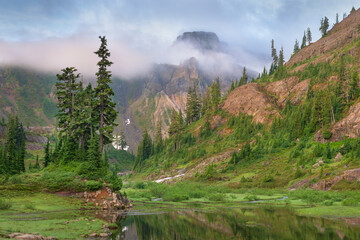 Table Mountain, Heather Meadows, Mount Baker Snoqualmie National Forest. North Cascades, Washington...