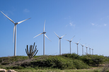 A series of towering wind turbines stand amidst lush greenery and a cactus under a bright blue sky. This wind farm demonstrates sustainable energy generation in a natural setting, highlighting renewab