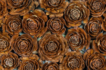 USA, Washington State, Seabeck. Close-up of deodar cedar cone patterns.