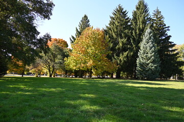 beautiful landscape and green leaves,