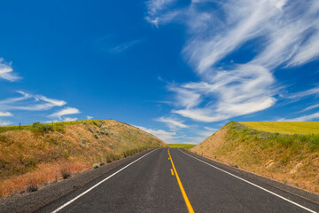 USA, Washington State, Palouse. Road running through canola field