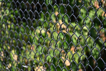 fence with metal mesh and nature