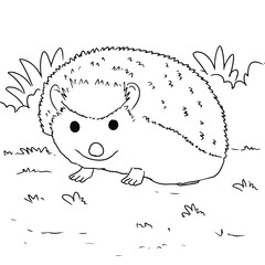 Cute Hedgehog Animal Coloring Page