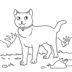 Cute Cat Animal Coloring Page